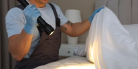Débarrasser des punaises de lit à Lyon 5 – Service professionnel 69005 Rhône