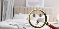 Débarrasser des punaises de lit à Chambéry – Service professionnel 73000 Savoie