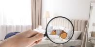 Débarrasser des punaises de lit à Montélimar – Service professionnel 26200 Drôme