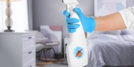 Débarrasser des punaises de lit à Bourg-en-Bresse – Service professionnel 01000 Ain