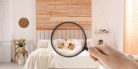 Débarrasser des punaises de lit à Pinols – Service professionnel 43300 Haute-Loire