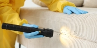 Débarrasser des punaises de lit à Teyssières – Service professionnel 26220 Drôme