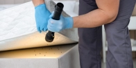 Débarrasser des punaises de lit à Meylan – Service professionnel 38240 Isère