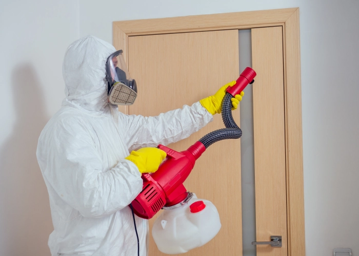 Débarrasser des punaises de lit à La Bâthie – Service professionnel 73540 Savoie