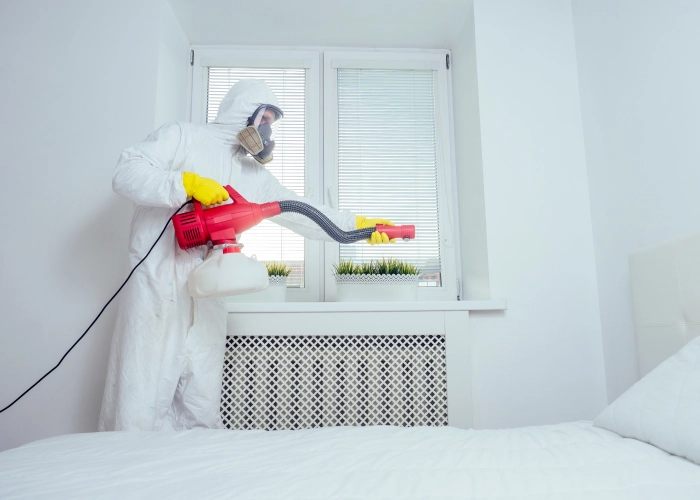 Débarrasser des punaises de lit à Condorcet – Service professionnel 26110 Drôme