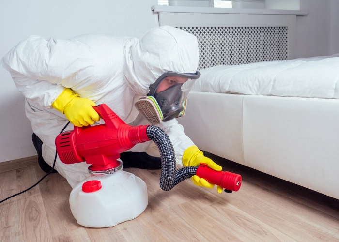 Débarrasser des punaises de lit à Valence – Service professionnel 26000 Drôme