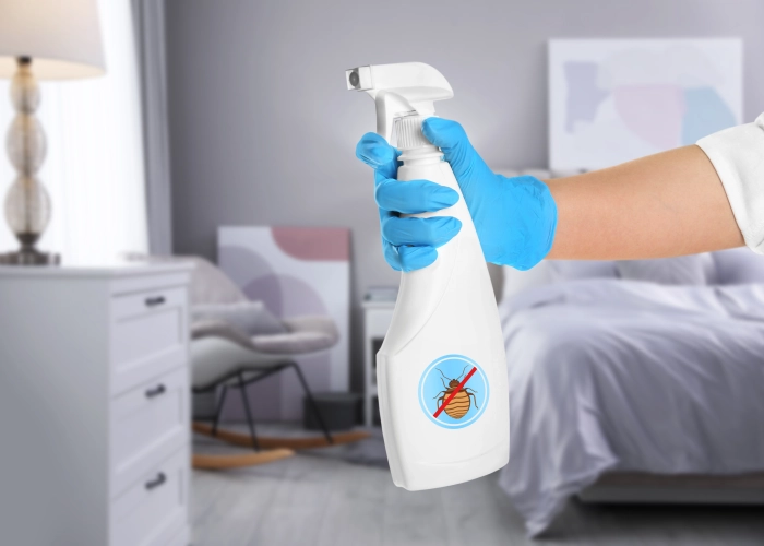 Débarrasser des punaises de lit à Bourg-en-Bresse – Service professionnel 01000 Ain